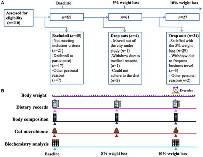 Dynamics of the Gut Bacteria and Fungi Accompanying Low-Carbohydrate Diet-Induced Weight Loss in Overweight and Obese Adults